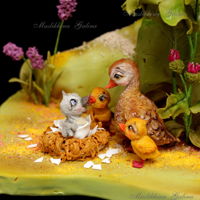 Ugly Duckling ugly duckling