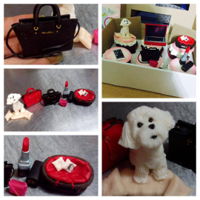 Capcake For Fashion Girl On Rad Capcake for Fashion Girl on Rad