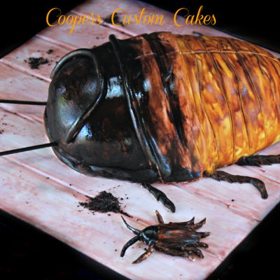 Madagascar Roach Cake
