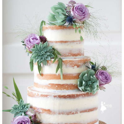 Naked Cake With Sugar Succulents