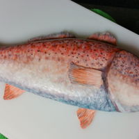 Fish Cake My first time making a fish cake. It came out looking like a cross between a red fish and a bass. lol