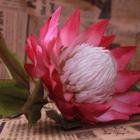 Bouquet bouquet with amaryllis & protea