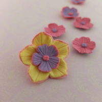 Sugar Flowers Mix and matching colours from new set by Blossom Sugar Art.