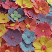 Sugar Flowers Mix and matching colours from new set by Blossom Sugar Art.