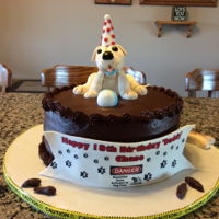 Puppy With A Little Problem 12inch double layer chocolate cake with chocolate ganache filling and covered in chocolate buttercream. Grandson wanted and got a yellow...