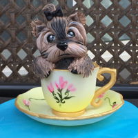 Tea Cup Yorkie Cute puppy in a Cup