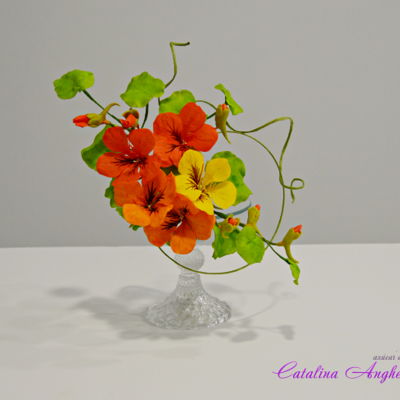 Nasturtium