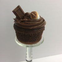 S'mores Cupcake S'mores cupcake