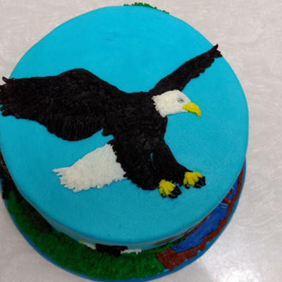 Tim's Bald Eagles 2017
