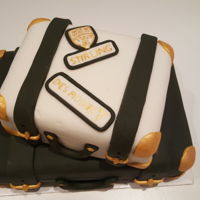 Luggage This was for a 21st birthday. The person it was for didn't want a "novelty" cake so to get in the parts he wanted I suggest...