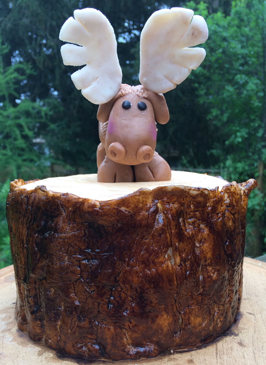 Tree Bark Cake With Moose Topper