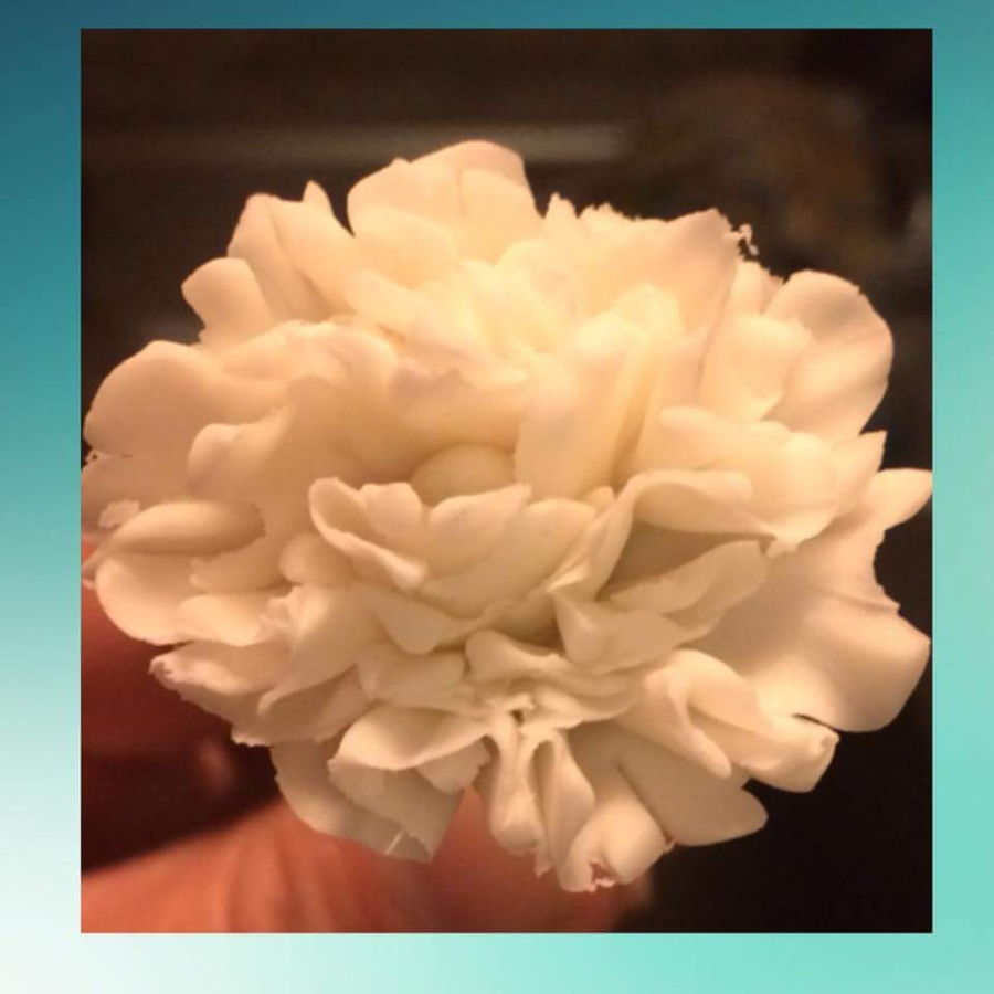 Sugar Paste Flowers