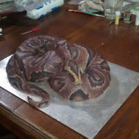 Snake Cake Ball Python