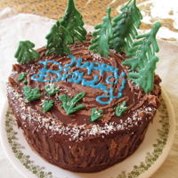 Stump Birthday Cake This was made a few years ago for my Dad's birthday. My sister did the lettering