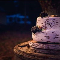 Rustic Birch Tree Wedding Cake 2 tier carrot cake covered in buttercream "birch bark" with Royal icing accents