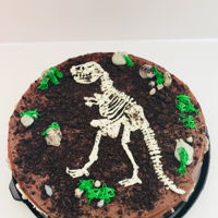 T-Rex Fossil Cake T-Rex Fossil Cake For Jacob&rsquo;s 9th Birthday