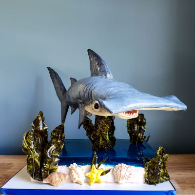 3D Edible Shark Cake