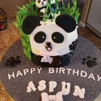 Panda Cake I made this for my granddaughter! Chocolate cake with ganache filling, frosted with buttercream, covered with fondant. The panda's,...