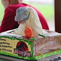 Velociraptor Hatching Cake Attempted a velociraptor hatching from an egg. RKT, modeling chocolate, modeling chocolate for 'wood' box, fondant leaves, FBCT...