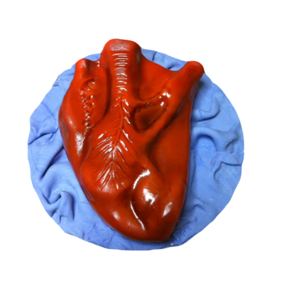 Sculpted Heart Cake