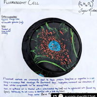 Fluorescent Cell Cake #Fluorescent markers are commonly used to track proteins, DNA/RNA or organelles in a cell. Using a #microscope that visualizes the...