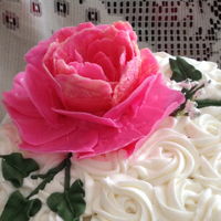Peony Cake 3 layer vanilla cake with pink chocolate peony