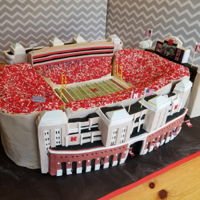 Stadium Cake I made this groom's cake for a bride and groom that are huge Nebraska fans. It took (11) 9x13 chocolate cakes to construct! The...
