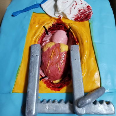 Realistic Heart Cake