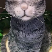 Oliver The Tabby Cat A little guy wanted his favorite tabby cat Oliver incorporated somewhere in his cake. I sculpted him out of modeling chocolate and added...