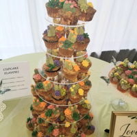 Succulents Cupcakes For Shower Cupcakes for a bridal shower.Each flavor a different color