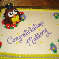 Wise Owl Fudge cake with buttercream icing, fondant flowers with an owl made of rice krispy treats and fondant