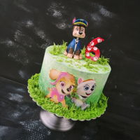 Paw Patrol Paw patrol https://www.facebook.com/TortyodMischell