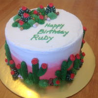 Ruby 17 Cactus cake inspired by many wonderful versions on YouTube and Pinterest.