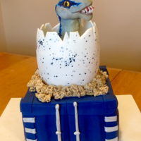 Wilde Is 6!!!! Daddy Harm Is 40!!! Velociraptor Blue from Jurassic World. All decoration is fondant. Egg is Rice Krispie covered in fondant. So many thanks for wonderful...